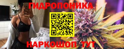 индика Нарткала