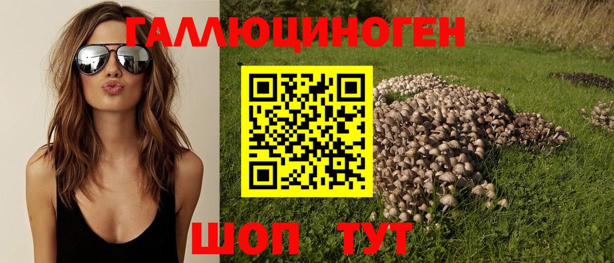 купить  цена  Вход с VPN  Старая Купавна  Псилоцибиновые грибы MAGIC MUSHROOMS 